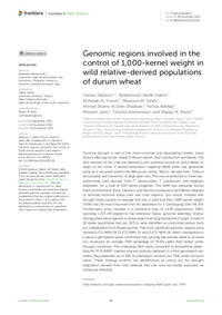 Genomic regions involved in the control of 1,000-kernel weight in wild relative-derived populations of durum wheat