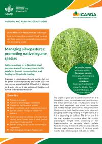 Managing silvopastures: promoting native legume species; Lathyrus sativus L.: a Neolithic dual purpose annual legume grown for its seeds for human consumption, and fodder for livestock feeding