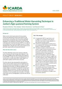 Enhancing a Traditional Water Harvesting Technique in  Jordan’s Agro-pastoral Farming System 