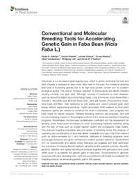 Conventional and Molecular Breeding Tools for Accelerating Genetic Gain in Faba Bean (Vicia Faba L.)
