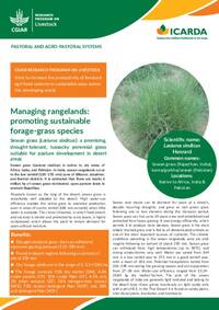 Managing rangelands: promoting sustainable forage-grass species: Lasiurus sindicus Henrard: a promising, drought-tolerant, tussocky perennial grass suitable for pasture development in desert areas
