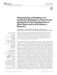 Heterogeneity of Resilience of Livelihood Strategies in Pastoral and Agropastoral Farming Systems of Rural Semi-arid to Arid Areas in Morocco