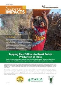 Tapping Rice Fallows to Boost Pulses Production in India