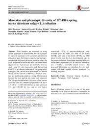 Molecular and phenotypic diversity of ICARDA spring barley (Hordeum vulgare L.) collection