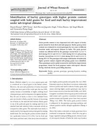 Identification of barley genotypes with higher protein content coupled with bold grains for food and malt barley improvement under sub-tropical climates
