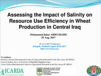 Assessing the Impact of Salinity on Resource Use Efficiency in Wheat Production in Central Iraq