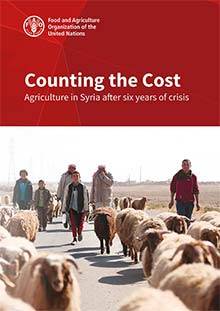 Counting the Cost: Agriculture in Syria after six years of crisis