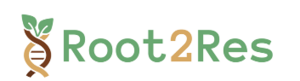Root2Res logo