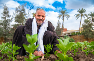Mohamed Soliman - Farmer