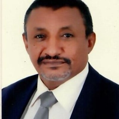 Hassan Osman Ahmed El-Awad Hassan Osman Ahmed El-Awad