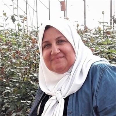 Safaa Kumari Safaa Kumari