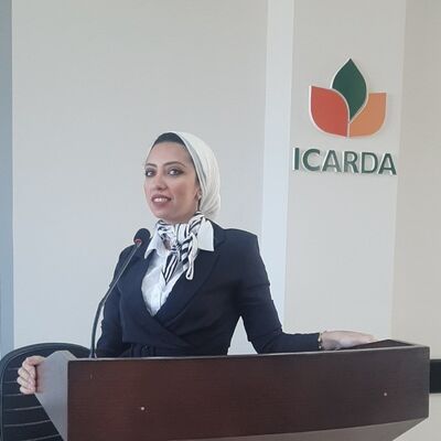 Rania Gamal Rania Gamal