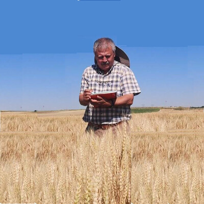 Mesut Keser Mesut Keser