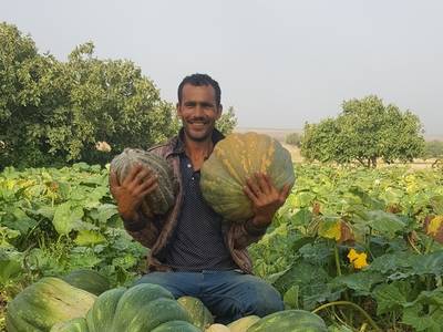 A pumpkin farmer in Settat shows the yield benefits of the FAP approach