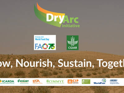 Dryrc World Food Day