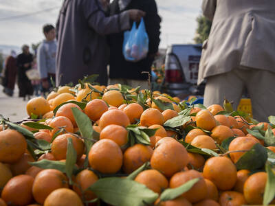 Tunisian village market