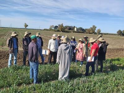 Dr. Mina Devkota describing one of her experiments in diversified cropping systems under conservation agriculture in Marchouch, Morocco.
