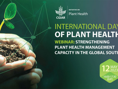 2nd International Day of Plant Health