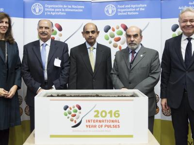 Inaugural ceremony at the FAO headquarters in Rome to launch 2016 International Year of Pulses.