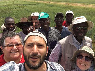 Durum wheat team in Senegal, Photo by: Filippo M.Y. Bassi (twitter @fillobax)