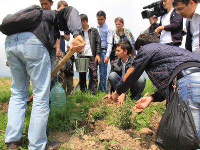 Pistachio planting on Earth Day in Uzbekistan