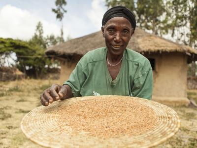 Demekech, a lentil farmer in Ethiopia
