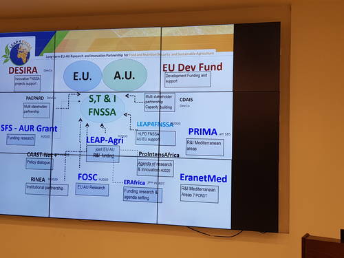 Funding networks and mechanisms  to support EU AU FNSSA R&I