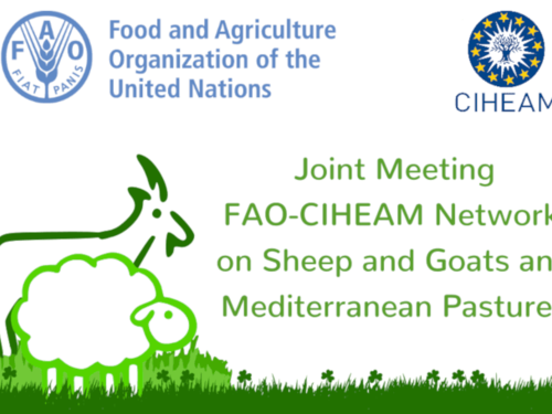 Joint Meeting of the FAO-CIHEAM Network for Research and Development in Sheep and Goats