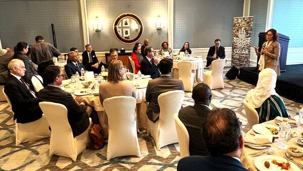 Ambassadors to Egypt and Heads of Donor and Partner organizations