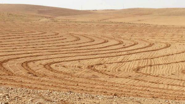 Constructing micro-catchments through the use of Vallerani plows is enhancing water harvesting in Jordan.