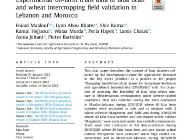 Experimental on-farm trials data of faba bean and wheat intercropping field validation in Lebanon and Morocco