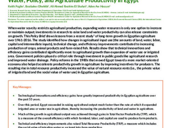 Water, Policy, and Agriculture Productivity in Egypt