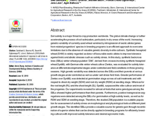 Multi-dimensional evaluation of response to salt stress in wheat