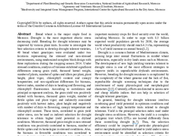 Effective Selection Criteria for Screening Drought Tolerant and High Yielding Bread Wheat Genotypes