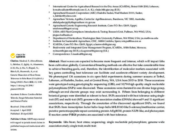 Genetic Dissection of Heat Stress Tolerance in Faba Bean (Vicia faba L.) Using GWAS