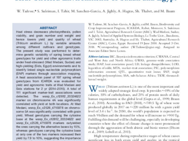 Heat-Tolerant QTLs Associated with Grain Yield and Its Components in Spring Bread Wheat under Heat-Stressed Environments of Sudan and Egypt