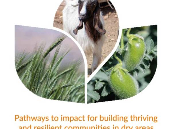 ICARDA Annual Report 2017: Pathways to impact for building thriving and resilient communities in dry areas