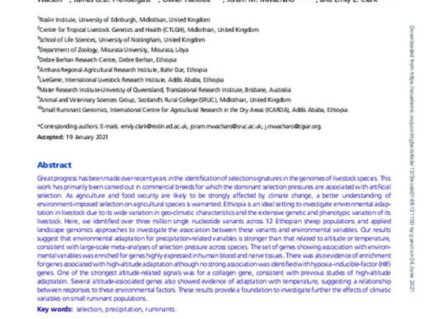 Whole-Genome Sequence Data Suggest Environmental Adaptation of Ethiopian Sheep Populations 