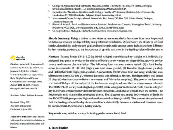 Effect of Barley Variety on Feed Intake, Digestibility, Body Weight Gain and Carcass Characteristics in Fattening Lambs