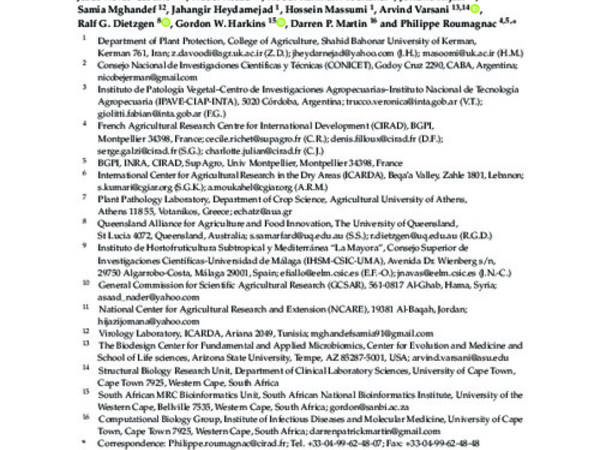 The Westward Journey of Alfalfa Leaf Curl Virus