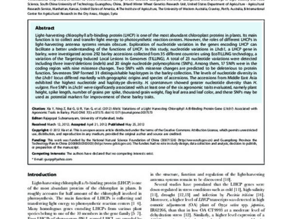 Allelic Variations Of A Light Harvesting Chlorophyll A/B-Binding Protein Gene (Lhcb1) Associated With Agronomic Traits In Barley