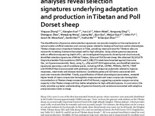 Genome‑wide comparative analyses reveal selection signatures underlying adaptation and production in Tibetan and Poll Dorset sheep