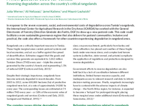 A new pastoral code for Tunisia: Reversing degradation across the country’s critical rangelands