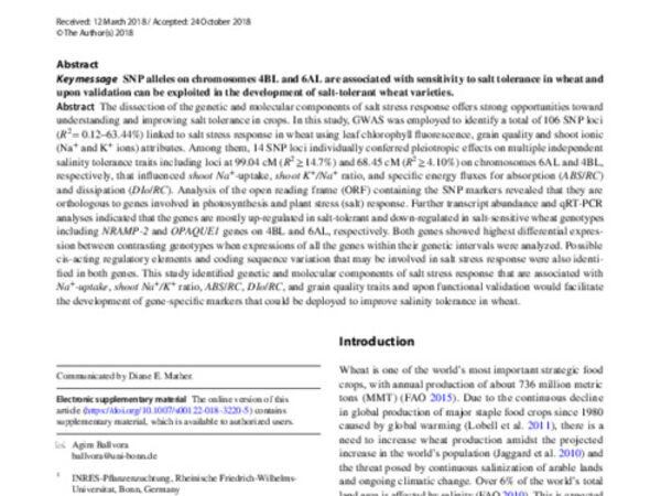 Genetic and transcriptional variations in NRAMP‑2 and OPAQUE1 genes are associated with salt stress response in wheat.