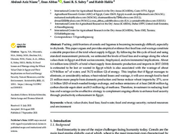 Food Losses and Wastage along the Wheat Value Chain in Egypt and Their Implications on Food and Energy Security, Natural Resources, and the Environment