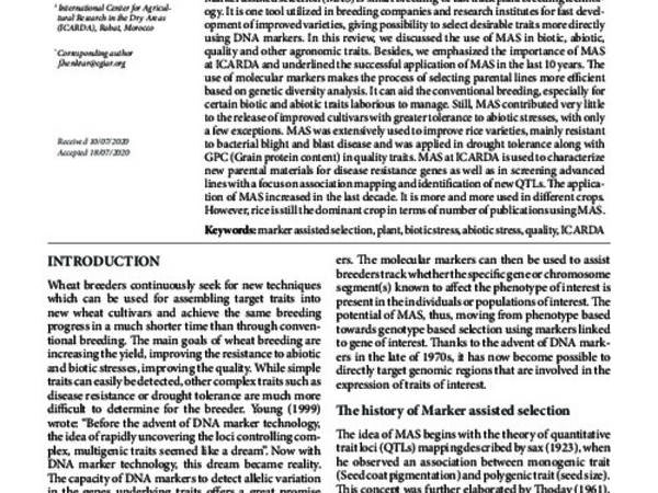 Marker assisted selection in plant breeding
