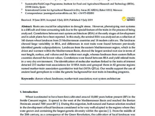 Genetic Dissection of the Seminal Root System Architecture in Mediterranean Durum Wheat Landraces by Genome-Wide Association Study