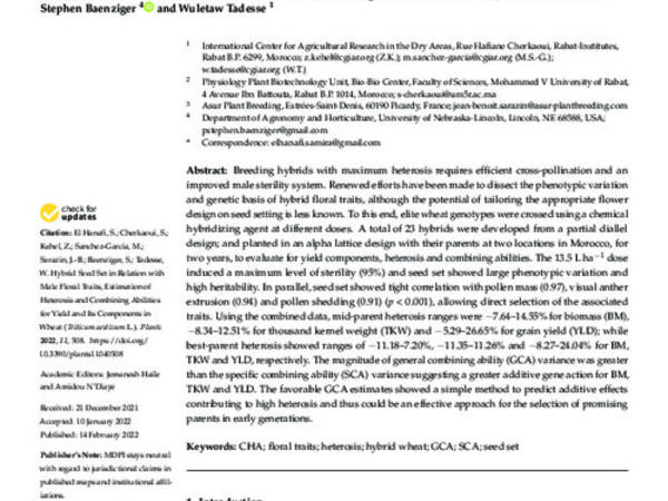 Hybrid Seed Set in Relation with Male Floral Traits, Estimation of Heterosis and Combining Abilities for Yield and Its Components in Wheat (Triticum aestivum L.)