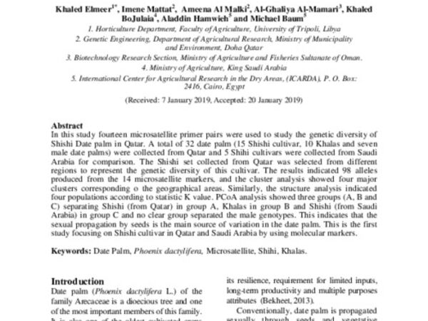Assessing Genetic Diversity of Shishi Date Palm Cultivars in Saudi Arabia and Qatar Using Microsatellite Markers