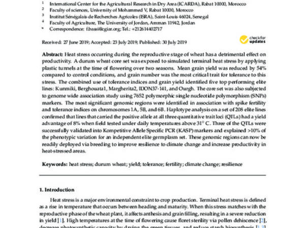 Loci Controlling Adaptation to Heat Stress Occurring at the Reproductive Stage in Durum Wheat